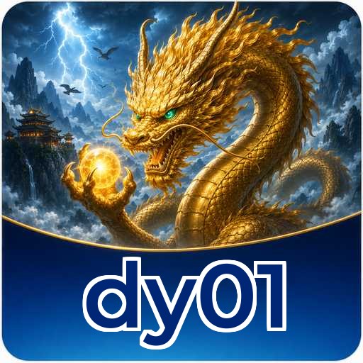 dy01