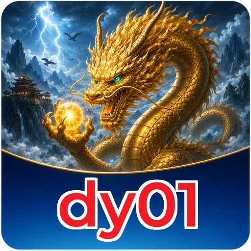 dy01