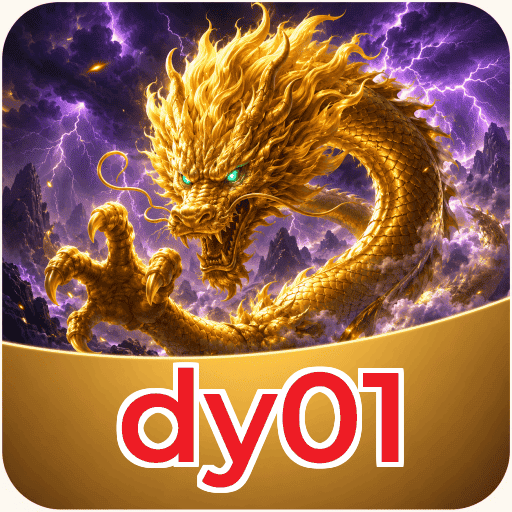 dy01